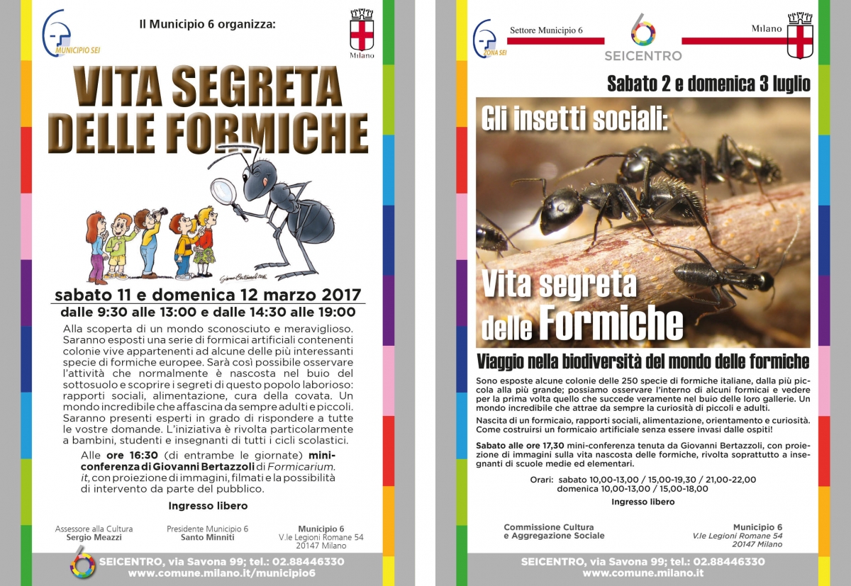 Locandine 6Centro