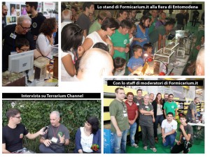 La fiera di Entomodena