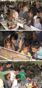 Mostra  Entomodena