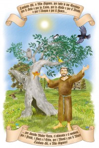 24 San Francesco